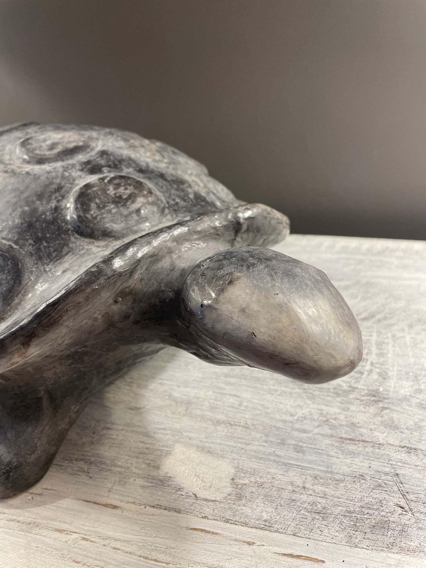 Tortue